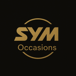 Sym Fiddle 2 uit 2016 50cc 45km