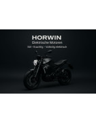 HORWIN Motoren