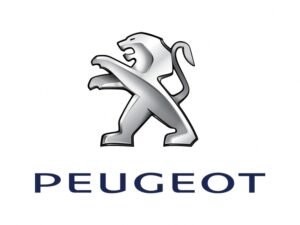 Peugeot Scooter onderhoud & reparatie