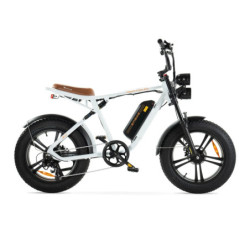 ENGWE M20 - Wit