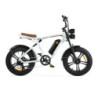 ENGWE M20 - Wit