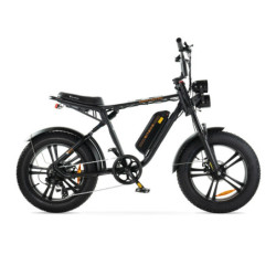 ENGWE M20 - Zwart