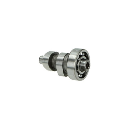 camshaft Piaggio original + bearing euro-4 primavera 4t-3v, sprint 4t-3v, zip 4t 3v 1a008562
