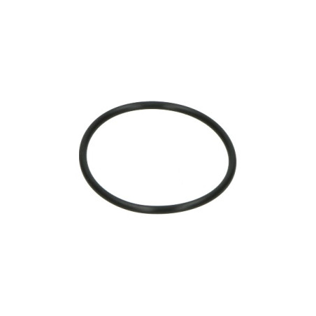 gasket Piaggio original fuel pump euro-4/5 primavera 50/125/150/180, sprint 50/125/150/180, sxr 50/160, zip 4t, Primavera 1b0029
