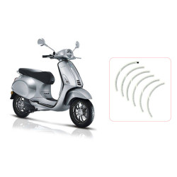 stickerset Piaggio origineel voorwiel wielbies zwart elettrica, primavera, sprint 2h002849000a3