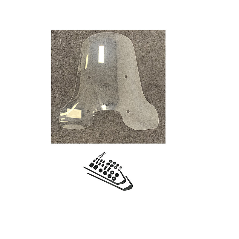 windshield DMP with mounting set high clear sprint
