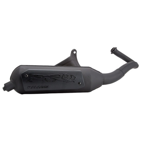 uitlaat malossi standaard model lc Wild Lion sco piaggio 2t 3216580