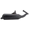 uitlaat malossi standaard model ac Wild Lion fly 2t, zip va2009 3216590