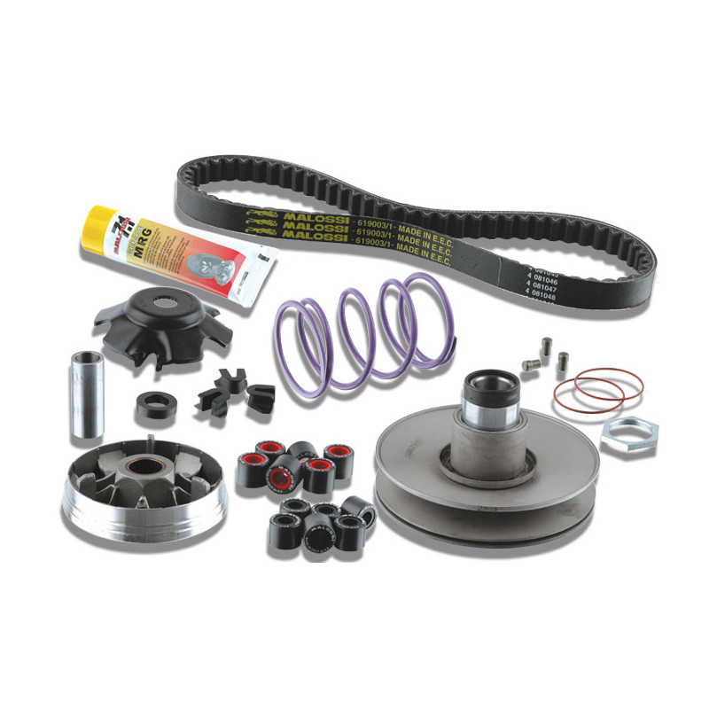 overrange systeem malossi lx 2t, zip sp, zip2000 6118836