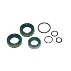 keerringset + o-ringen A-kwaliteit kreidler 5v