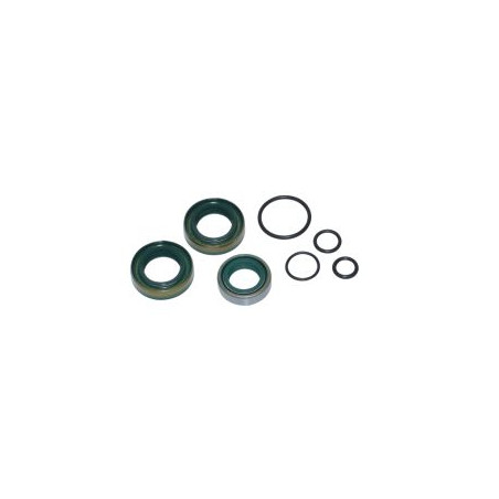 keerringset + o-ringen A-kwaliteit kreidler 5v