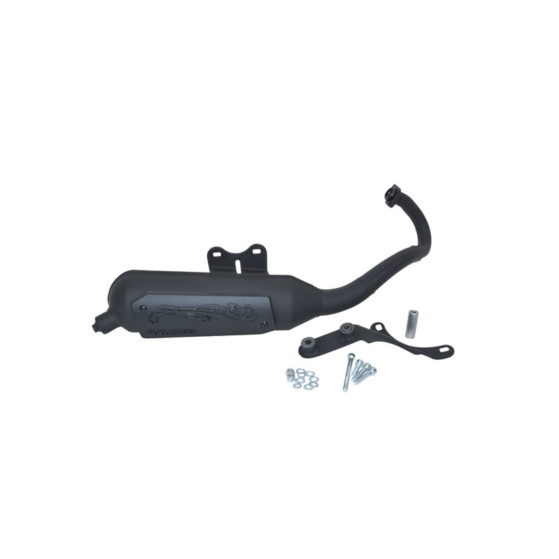 exhaust Malossi standard model wild lion sr piaggio engine 3216582