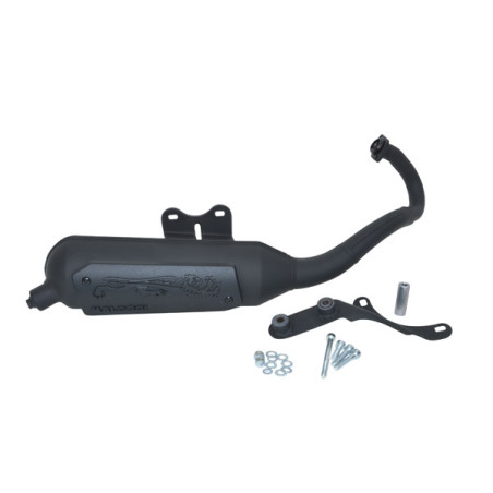exhaust Malossi standard model wild lion sr piaggio engine 3216582