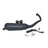 exhaust Malossi standard model wild lion sr piaggio engine 3216582