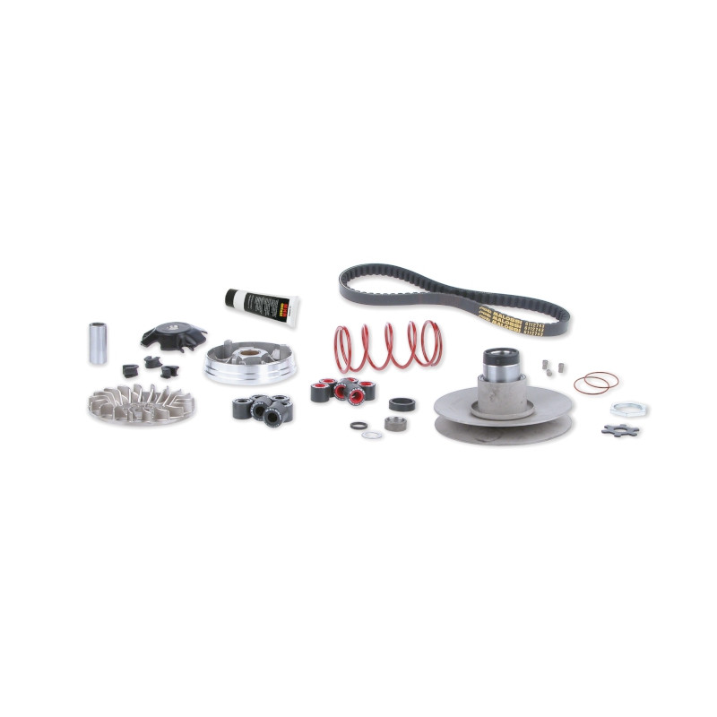 overrange system Malossi minarelli hor+vert 6112811