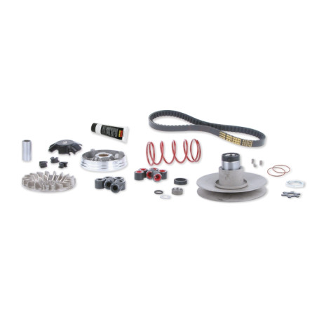 overrange system Malossi minarelli hor+vert 6112811