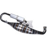 exhaust DDL Tuning big bore crankcase 2fast passion 100cc Minarelli HOR 100cc