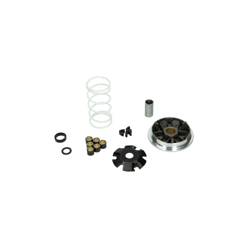 variator kit Malossi sr2000 5111561