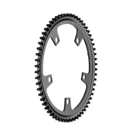 STOER Bikes - Gates - Voor tandwiel 60 Carbon Drive CDX