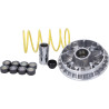 variator kit Malossi until 2006 burgman 400cc 5114258