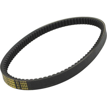 V-belt Malossi (22.2X11X888 MM) burgman 200cc, burgman 250cc 619956