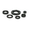 oil seal set DMP suzuki, tsx