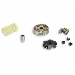 variator kit Malossi 100cc elyseo, speedfight, tkr, viva 5111558