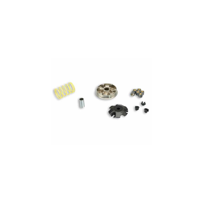 variokit malossi 100cc elyseo, speedfight, tkr, viva 5111558