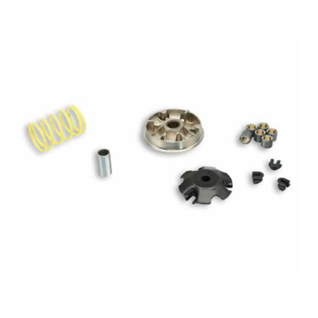 variokit malossi 100cc elyseo, speedfight, tkr, viva 5111558