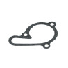 gasket DMP water pump senda2006
