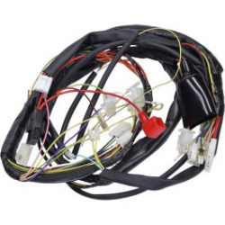 wiring harness aprilia rx50, senda drd evo 2008-2009, sx, senda drd 2005-2008 86107r