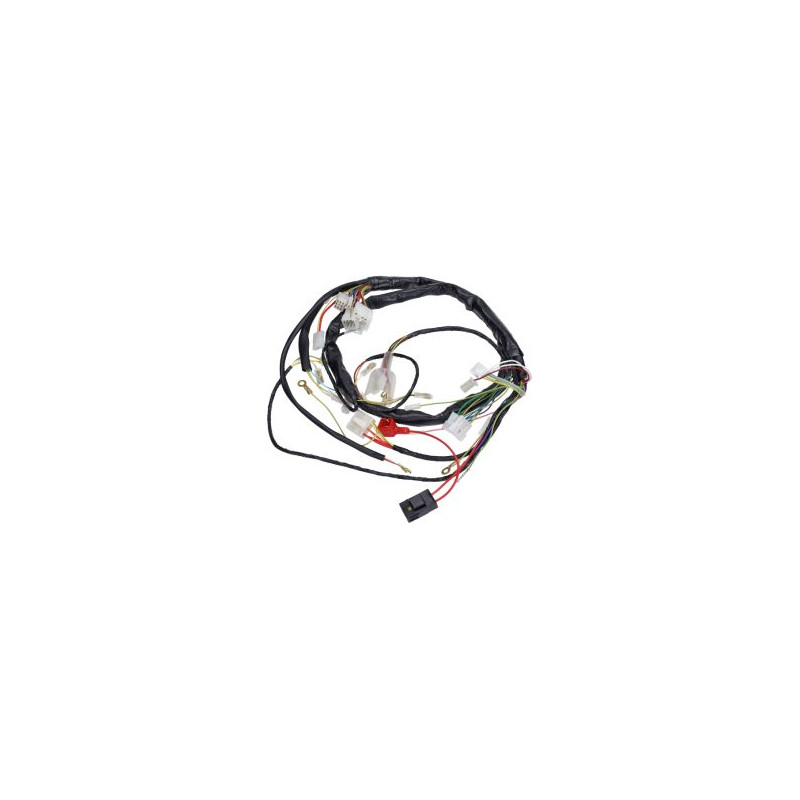 wiring harness gilera SMT, senda x-race, senda x-treme, senda drd 2006-2010 00h01046301