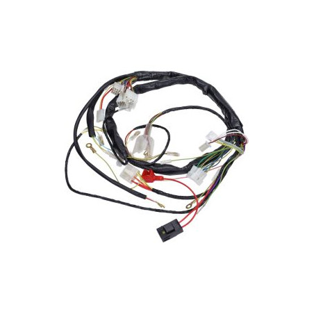 wiring harness gilera SMT, senda x-race, senda x-treme, senda drd 2006-2010 00h01046301