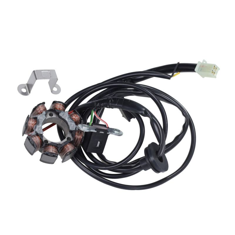 ontsteking polini digitaal derbi d50b, minarelli am6 171.0694