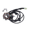 ignition Polini digital derbi d50b, minarelli am6 171.0694
