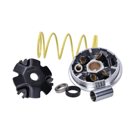 variator kit Malossi atlantis ot, hunter, paddock, Predator 5111151