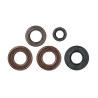 oil seal Metrakit set crank case pro-race and hiper pro senda2006
