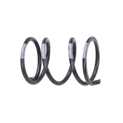 variator kit Pinasco spring vespa, ciao, si, bravo, grillo 25320957