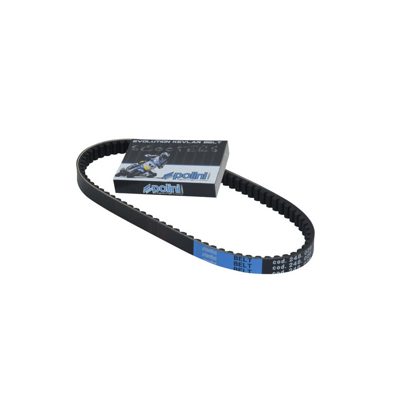 V-belt Polini kevlar 805x19 nrg mc3, nrg power, Runner 248.029