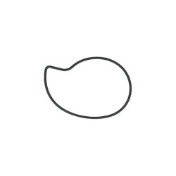 o-ring Piaggio origineel waterpomp carnaby, gts alle mod., gtv, mp3-310cc, beverly 125cc, beverly 250cc, beverly 300cc, mp3-250c