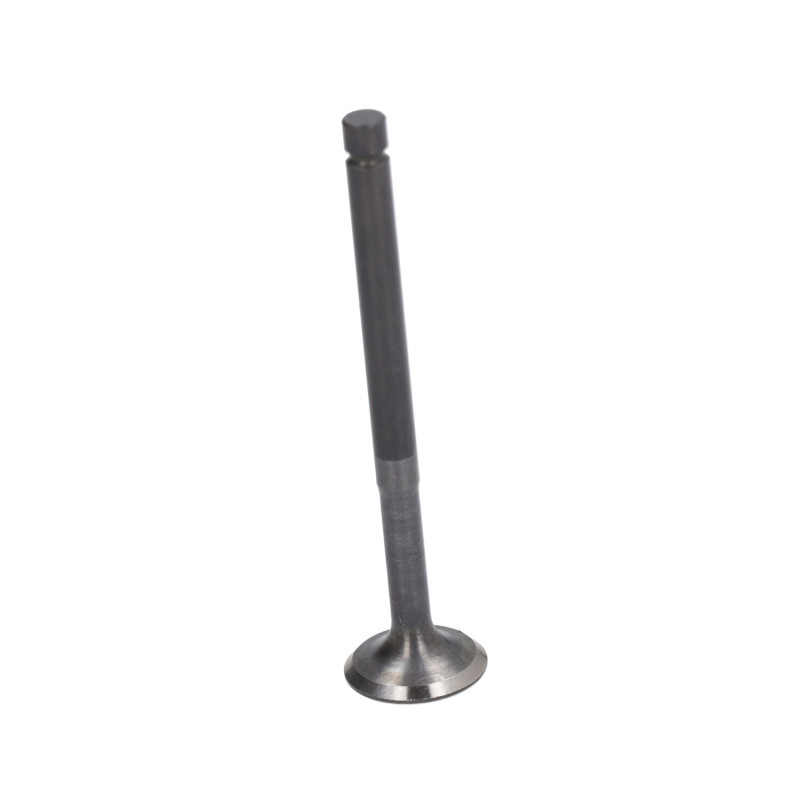 uitlaatklep euro-2 2v liberty 4t, lx 4t, primavera 4t, sco piaggio 4t-2v, sprint, zip 4t