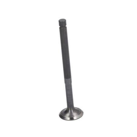 uitlaatklep euro-2 2v liberty 4t, lx 4t, primavera 4t, sco piaggio 4t-2v, sprint, zip 4t