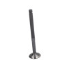 uitlaatklep euro-2 2v liberty 4t, lx 4t, primavera 4t, sco piaggio 4t-2v, sprint, zip 4t