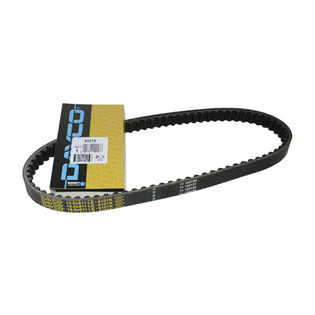 V-belt Dayco/pirelli kevlar 811x18.5 12inch ice, Runner, stalker 8101k
