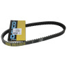V-belt Dayco/pirelli kevlar 811x18.5 12inch ice, Runner, stalker 8101k