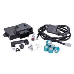 ECU tuningset naraku euro-5 geactiveerd (zie info) liberty, primavera, sprint, zip 4t nk390.65