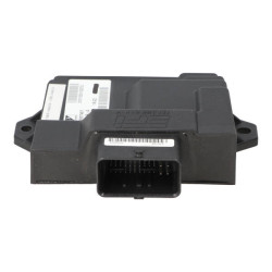 ECU unit Piaggio original 25km euro-5 zip 4t cm314203