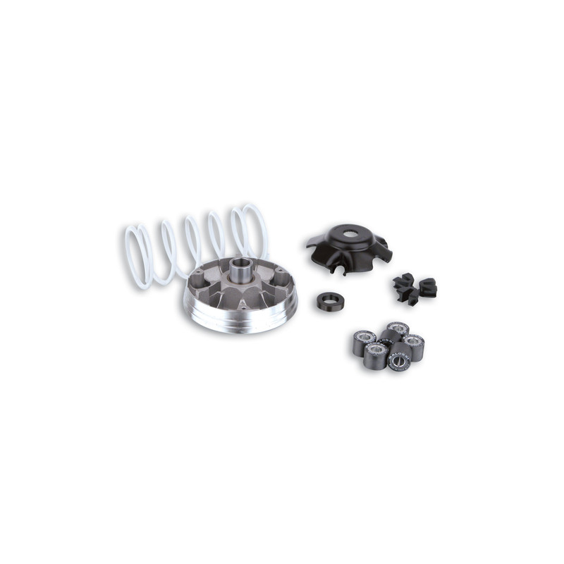 variator kit Malossi 19x15.5mm nrg, sco piaggio nt, zip, zip sp 519019