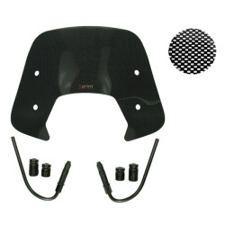 windshield Regia with mounting set low (made in EU) carbon sprint