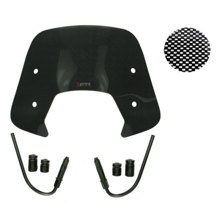 windshield Regia with mounting set low (made in EU) carbon sprint